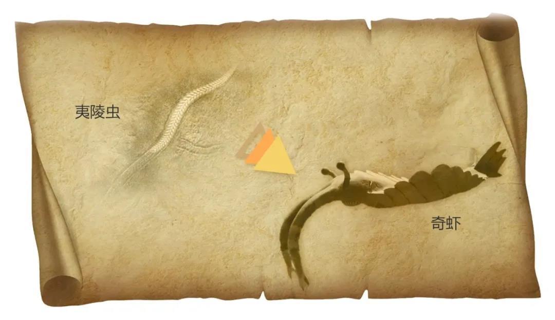 1582767338275633.jpg 21.jpg